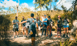 Arenal Volcano & Mistico Hanging Bridges Tour – Nature and Views Combined