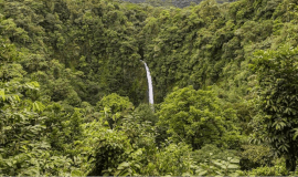 La Fortuna Waterfall Hike Guided Tour