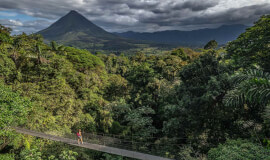 Hanging Bridges Guided Tour Without Transportation