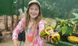 Coffee & Chocolate Tour in La Fortuna – Discover Costa Rica’s Most Delicious Traditions