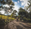 Ama Ride: Zipline, Maleku Culture & Horseback Adventure in the Rainforest