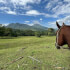 Zipline, Rappelling & Horseback Riding La Fortuna