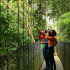 Hanging Bridges Entrance Ticket