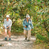Arenal Volcano Hike