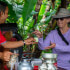Coffee and Chocolate Tour (No transportation)