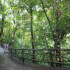 Arenal Hanging Bridges on a Guided Hike in La Fortuna, Costa Rica