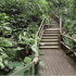 La Fortuna Waterfall Hike Guided Tour