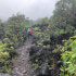 Arenal Volcano Hike
