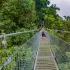Hanging Bridges Entrance Ticket