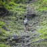Zipline, Rappelling & Horseback Riding La Fortuna