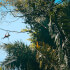 Caño Negro Wildlife Boat Tour
