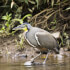 Safari Float on the Peñas Blancas River – Family Wildlife Tour in La Fortuna, Costa Rica