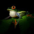 Natura Eco Park Night Walk – Wildlife Comes Alive at Night