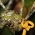 Natura Eco Park Night Walk – Wildlife Comes Alive at Night