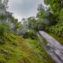Zipline, Rappelling & Horseback Riding La Fortuna