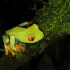 Natura Eco Park Night Walk – Wildlife Comes Alive at Night