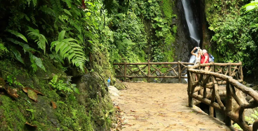 Hanging Bridges Entrance Ticket