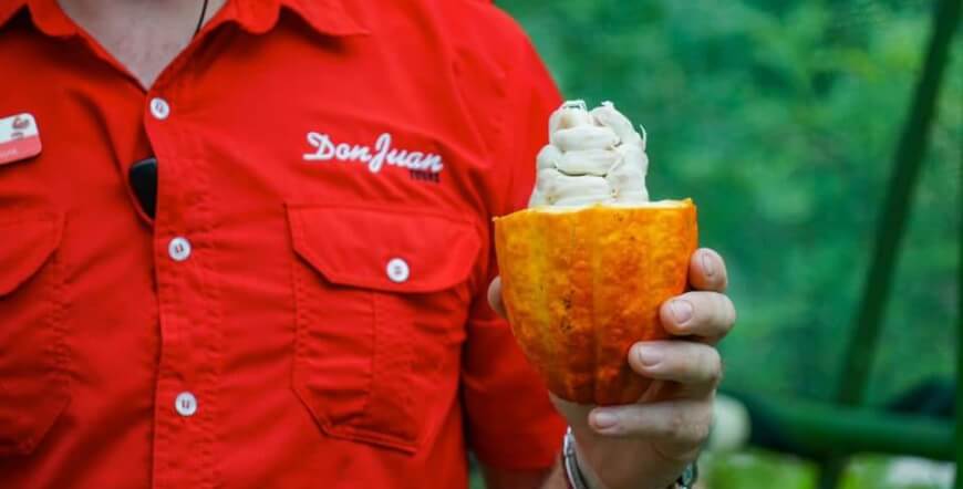 Coffee & Chocolate Tour in La Fortuna – Discover Costa Rica’s Most Delicious Traditions