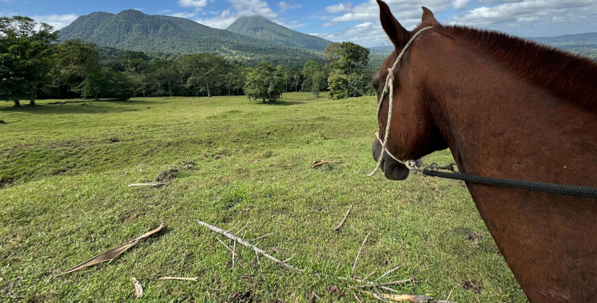 Zipline, Rappelling & Horseback Riding La Fortuna