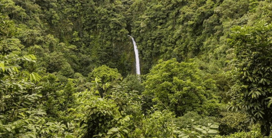 La Fortuna Waterfall Hike Guided Tour