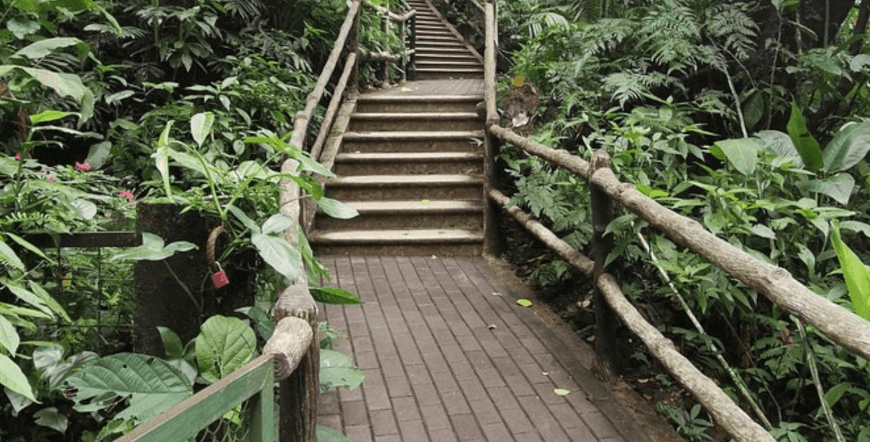 La Fortuna Waterfall Hike Guided Tour