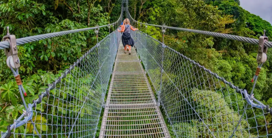 Hanging Bridges Entrance Ticket