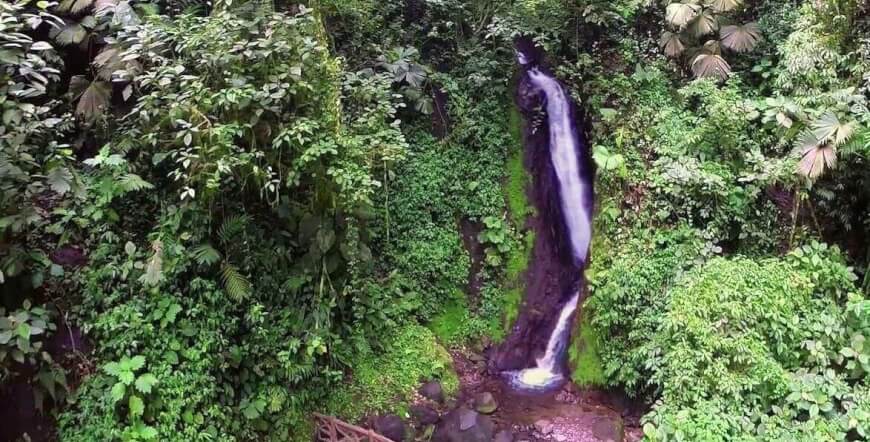Arenal Hanging Bridges on a Guided Hike in La Fortuna, Costa Rica