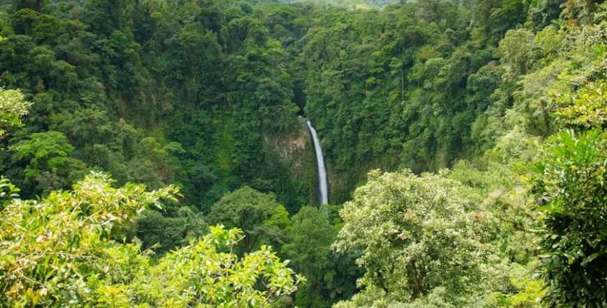 Hike To Hanging Bridges, Arenal Volcano and Fortuna Waterfall