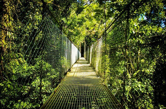 Hanging Bridges Entrance Ticket